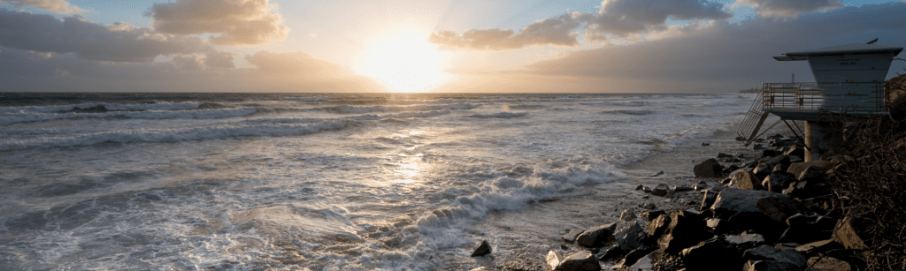 Beach Terrace gains 50% YOY increases in bookings and website revenue