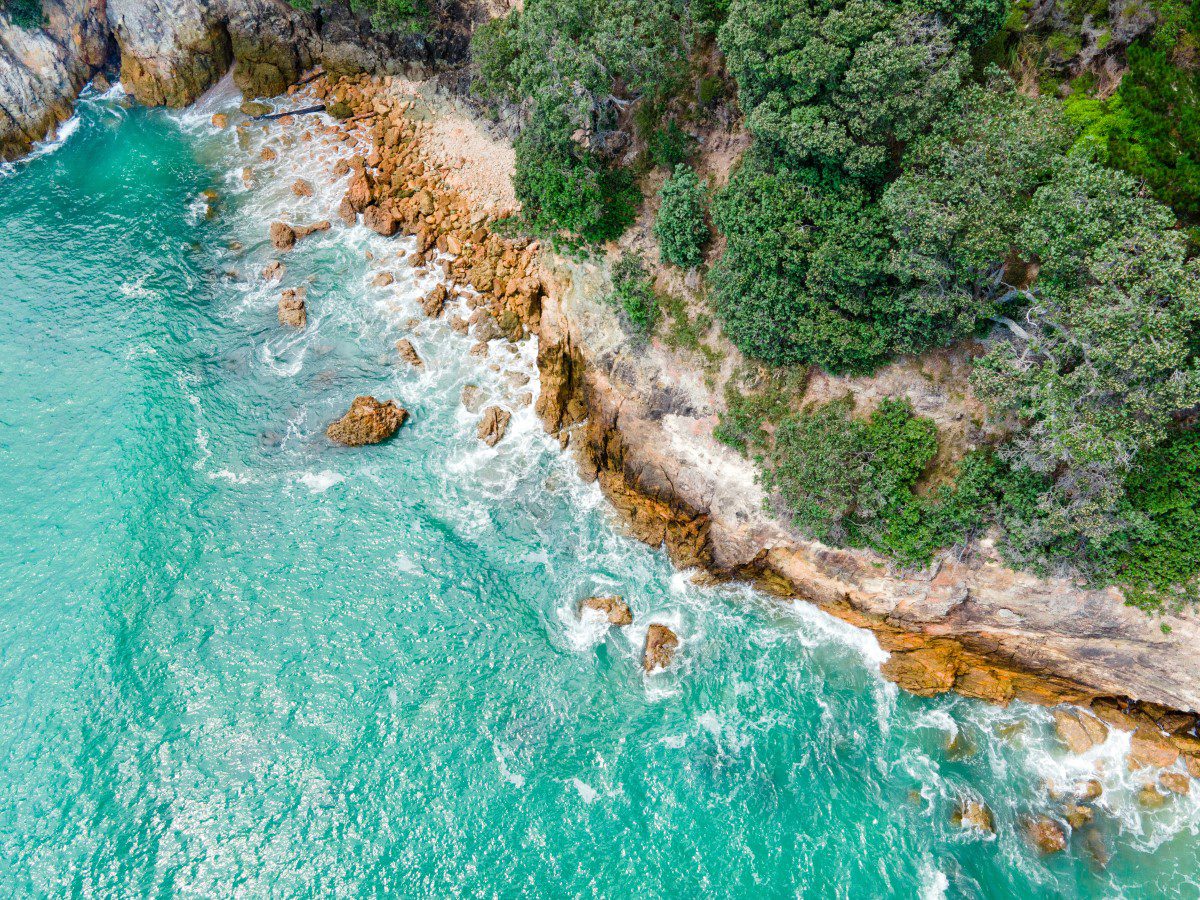 Hotels can still benefit from Google Hotel Ads Pay Per Stay! 