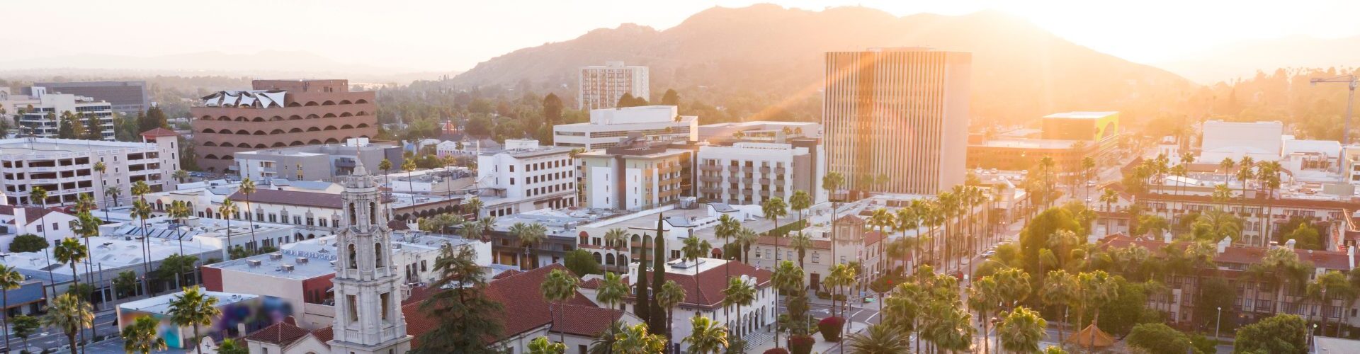 Anaheim-Santa Ana and Memphis Enter the Top Spots in Meeting and Events for the First Time in 2024, Reports Cendyn