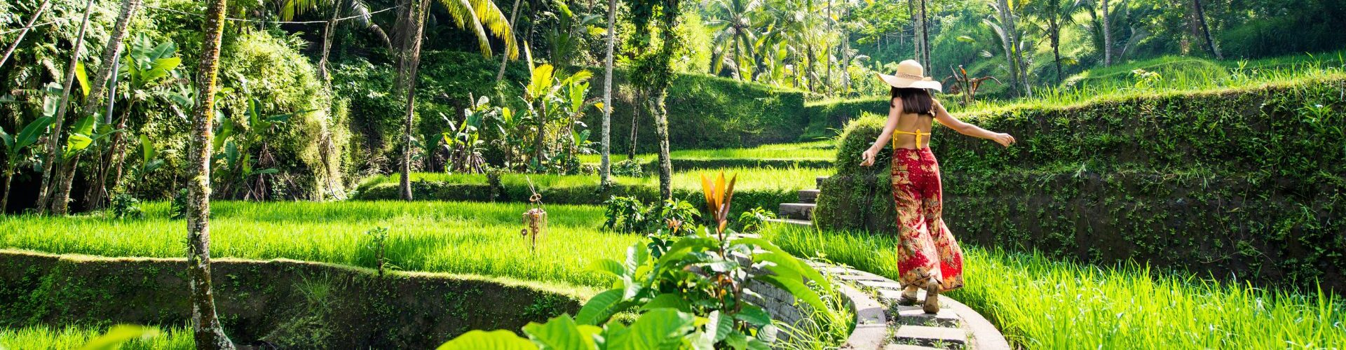 Why hotel loyalty programs aren’t rewarding…for anyone