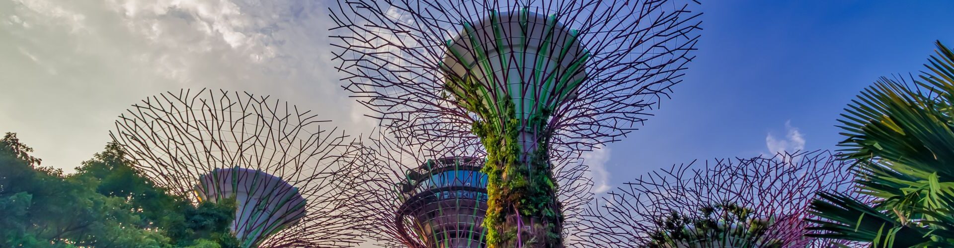 APAC meetings industry trends: Regional update for Q2 2025