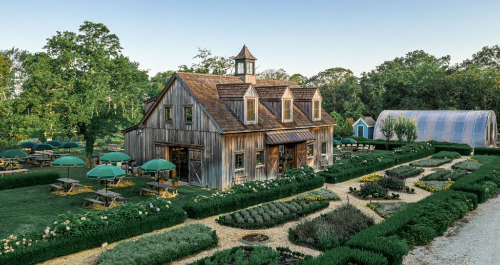 Cape Resorts’ website transformation led to a 54% increase in new users