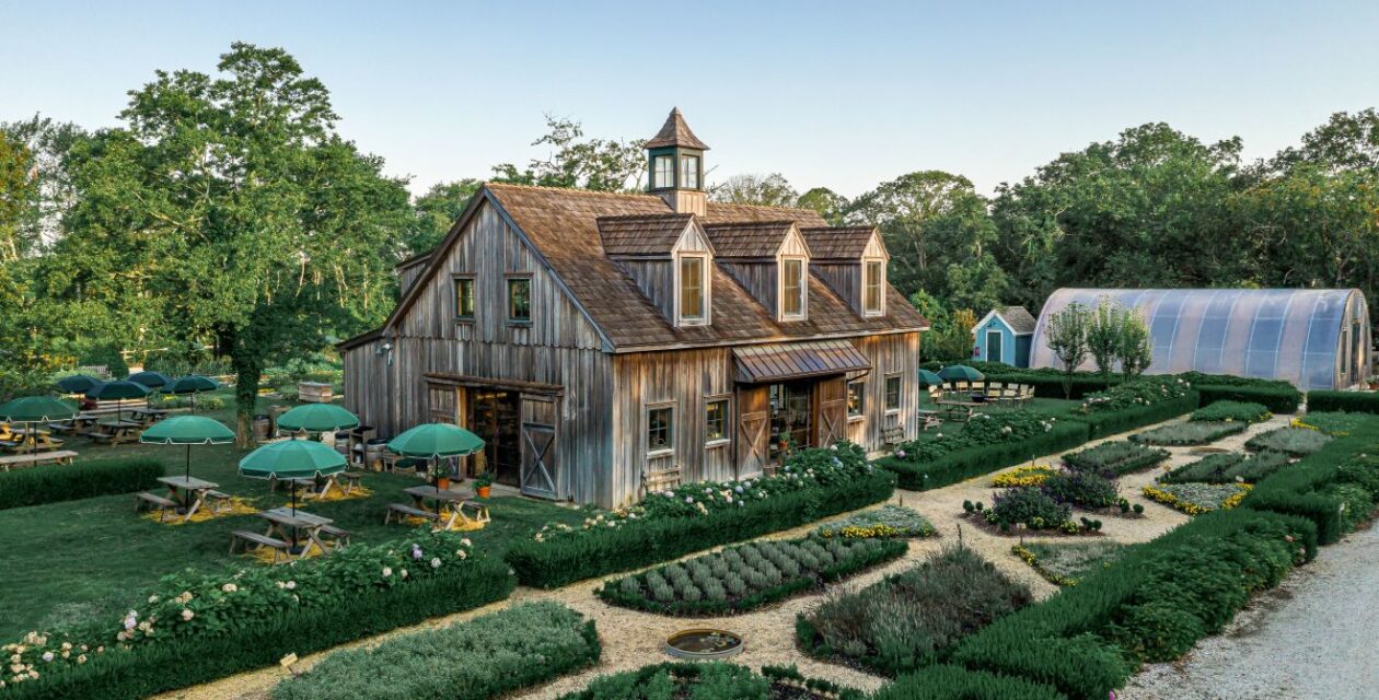 Cape Resorts’ website transformation led to a 54% increase in new users