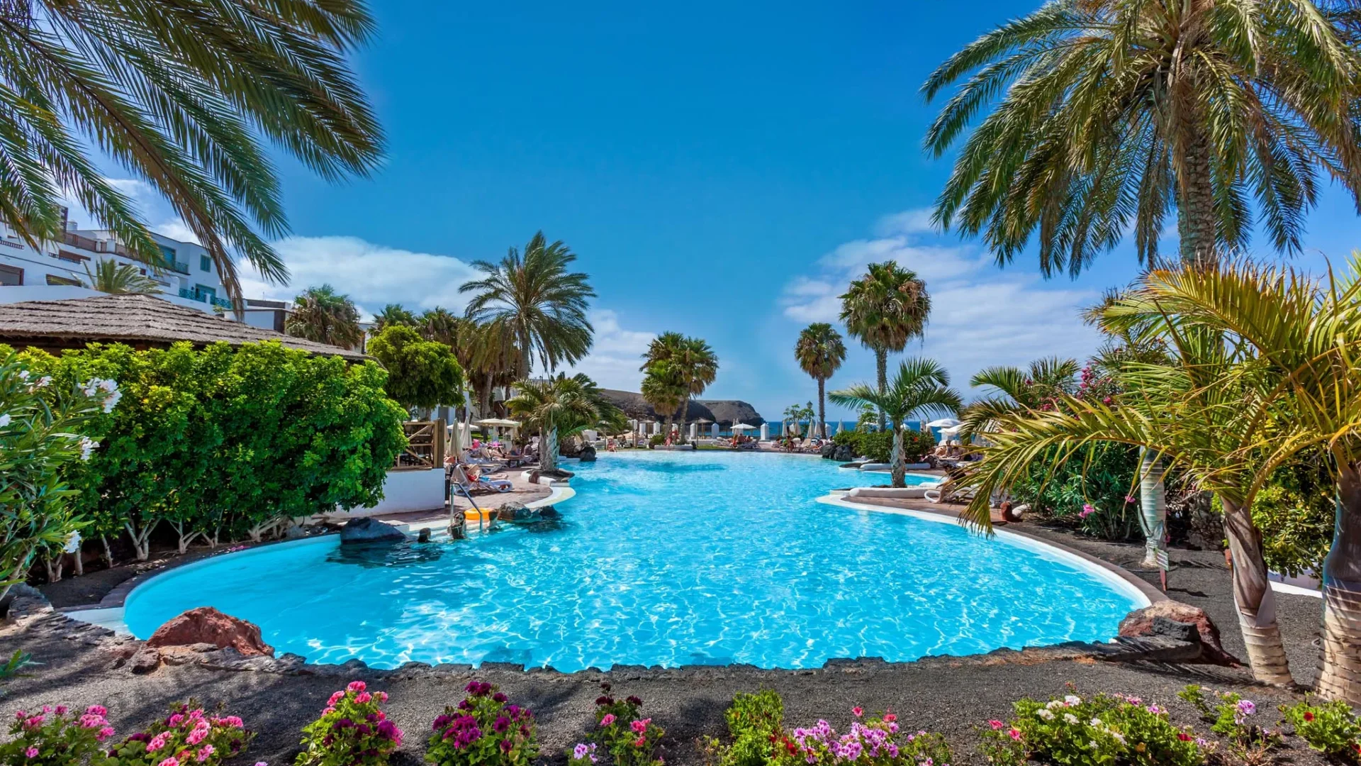 Dreamplace reached +10% direct bookings with metasearch campaigns on Cendyn DMP  