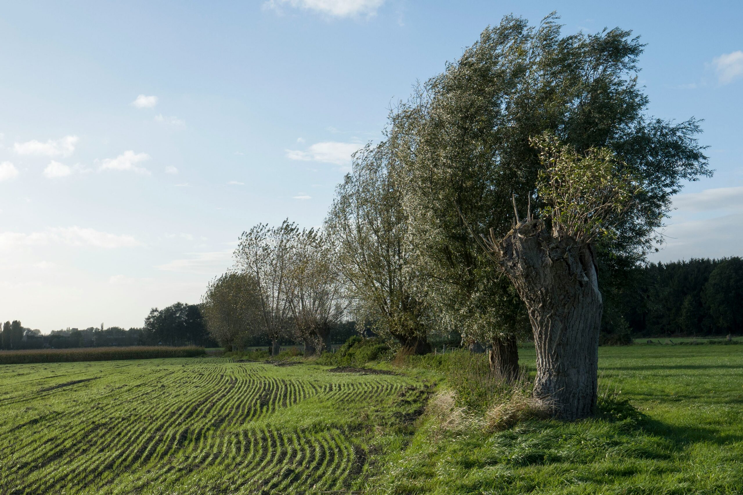 Belgian countryside