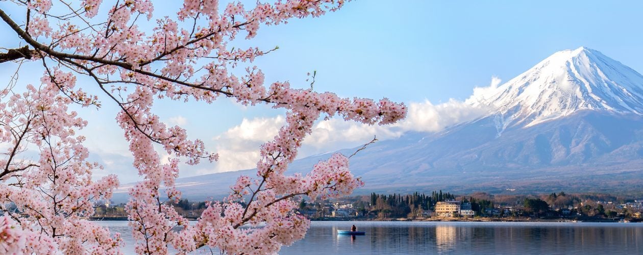 Ascott Japan gained +45% direct bookings with robust metasearch advertising