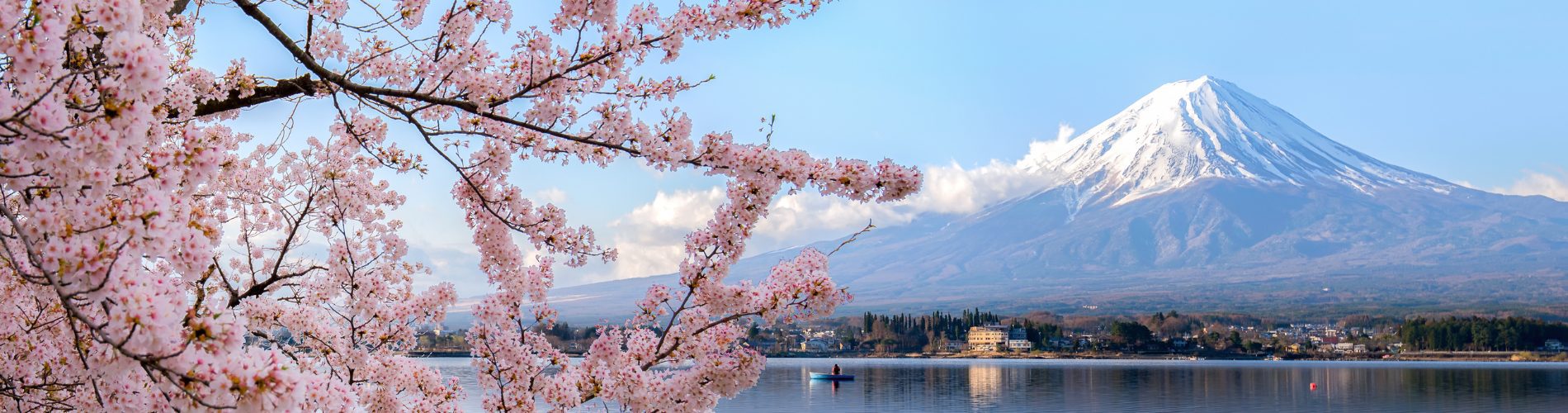 Ascott Japan gained +45% direct bookings with robust metasearch advertising